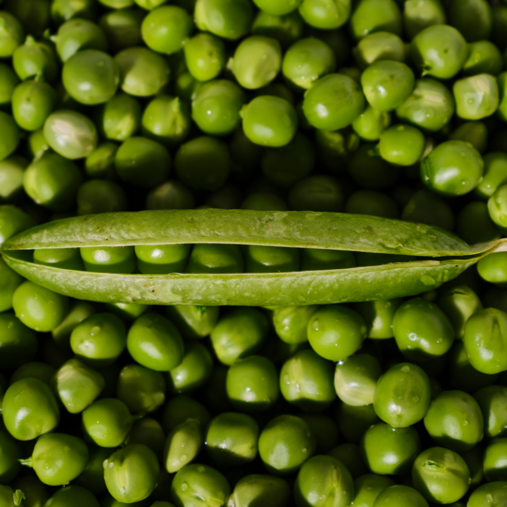 Micronutrients: The Silent Drivers Behind Every Hair-Growth Cycle