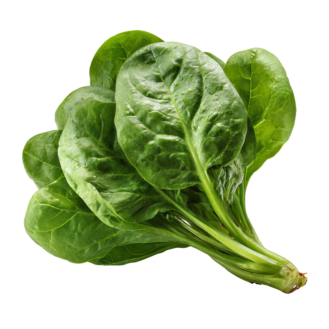 Micronutrients, Hormones and Hair Loss: How Nutrient Deficiencies Disrupt the Endocrine System